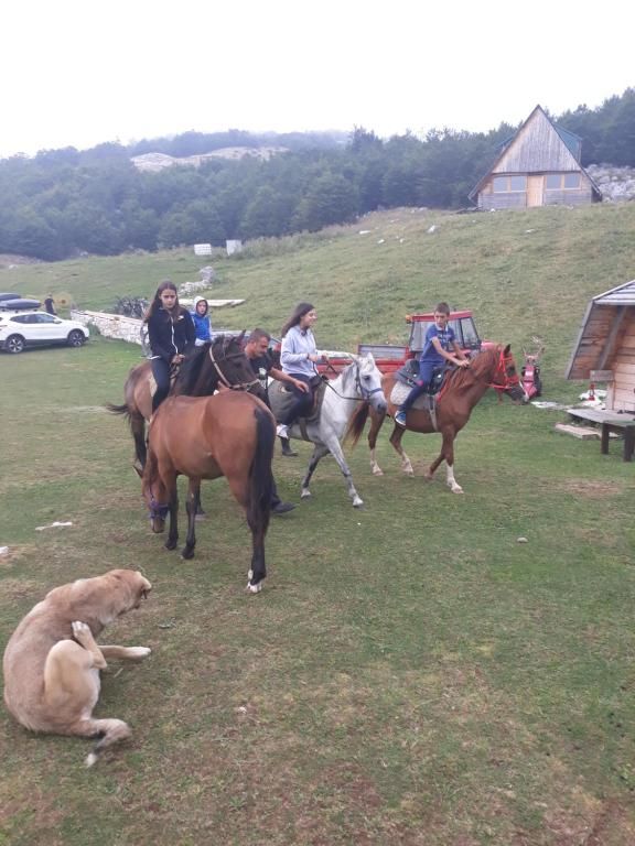Дома для отпуска Holiday Home Vile Calimero Жабляк