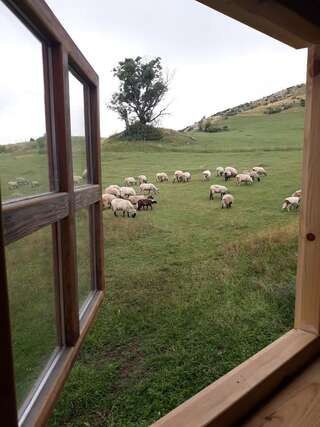 Дома для отпуска Holiday Home Vile Calimero Жабляк Дом с 2 спальнями-21