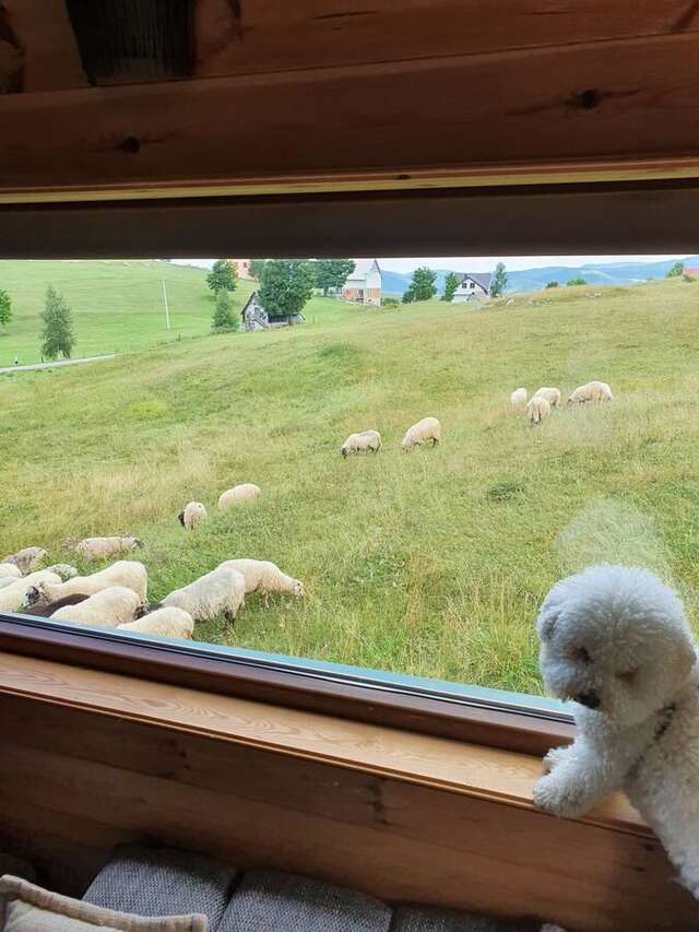Дома для отпуска Holiday Home Vile Calimero Жабляк-16