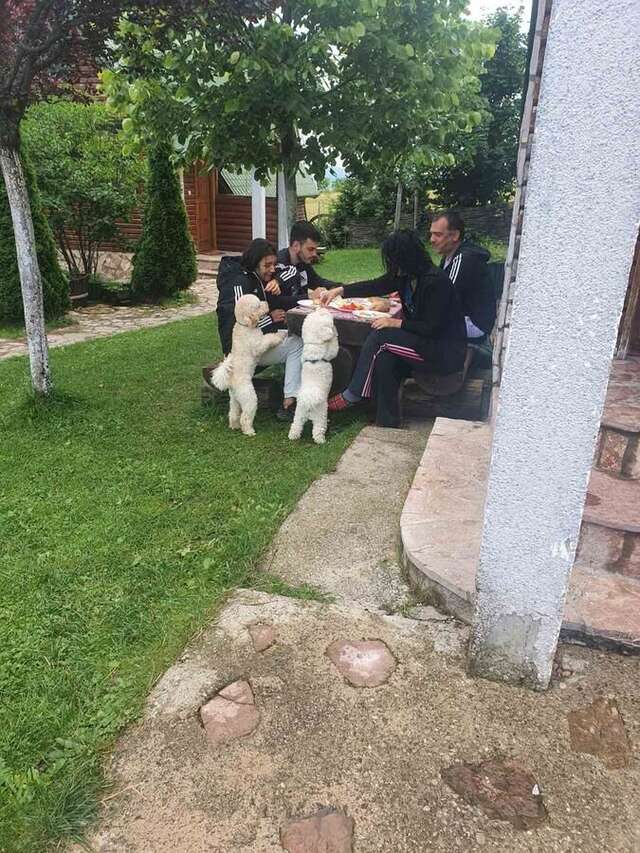 Дома для отпуска Holiday Home Vile Calimero Жабляк-19
